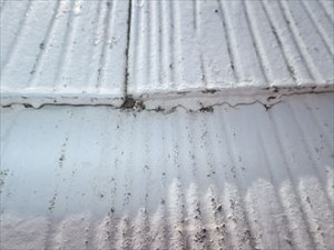 木更津市　屋根塗装　事前調査