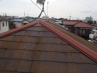 tenken-5 千葉市稲毛区 外壁塗装 屋根塗装 屋根点検 苔が生えている