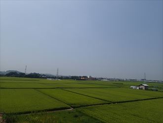 P8011091_R 木更津市 ザ木更津