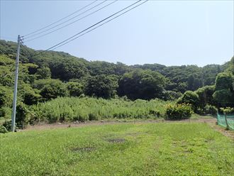 君津市 癒しの一枚