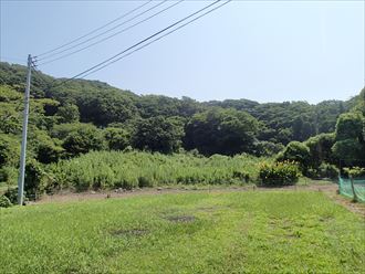 君津市　癒しの一枚