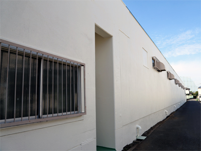 千葉市の倉庫改修塗装工事スタッコフレックス使用 千葉の外壁塗装 屋根塗装 塗り替えは街の外壁塗装やさん千葉本店へ