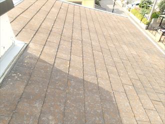 木更津市 屋根コケ全体発生
