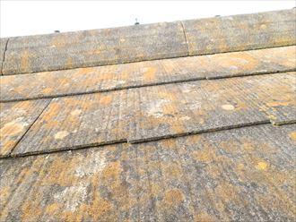 市原市 屋根材の反り確認