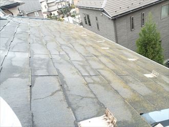 四街道市 屋根調査 PB151478_R