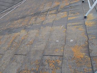 千葉市稲毛区 屋根調査