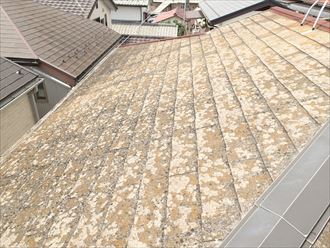 千葉市美浜区 屋根調査