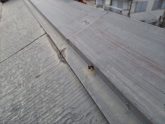 市原市 棟板金調査