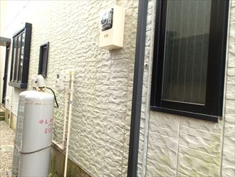 木更津市 苔の発生状況