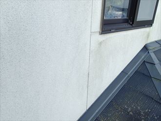市原市 苔の発生
