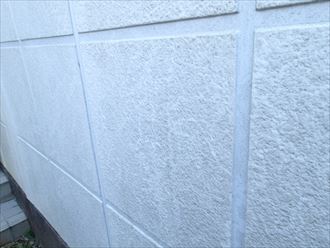 千葉市花見川区 苔の発生