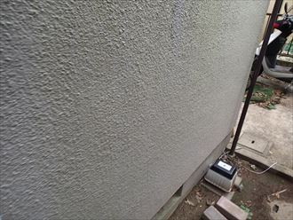 八千代市 苔の発生