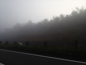 市原市 早朝の霧