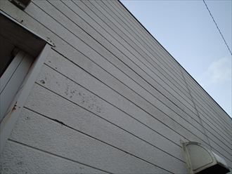 木更津市 窯業系サイディング