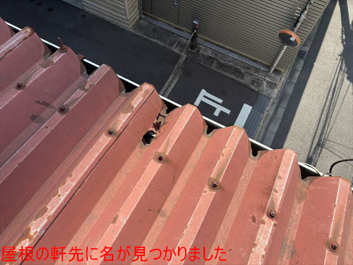 軒先に空いた穴