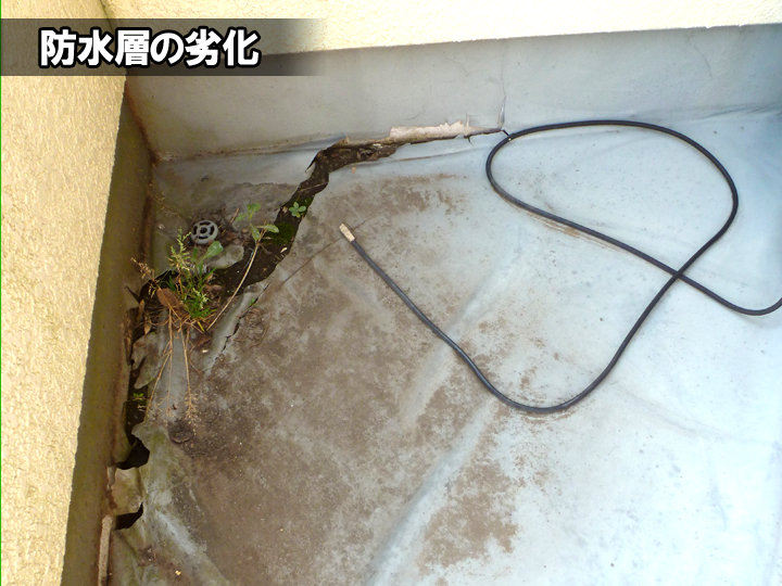 防水層の劣化