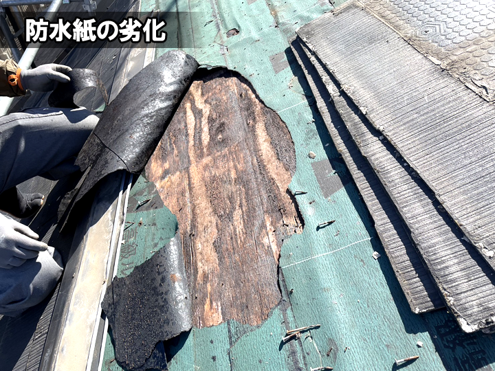防水紙の劣化