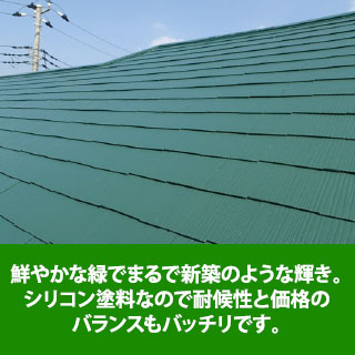 鮮やかな緑でまるで新築のような輝き。シリコン塗料なので耐候性と価格のバランスもバッチリです