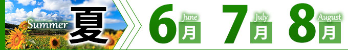 夏6月7月8月