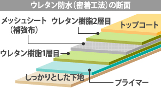 ウレタン防水（密着工法）の断面