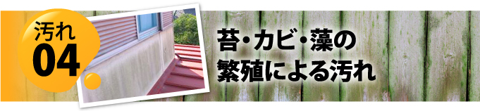 外壁の汚れの原因4　苔・カビ・藻の繁殖による汚れ